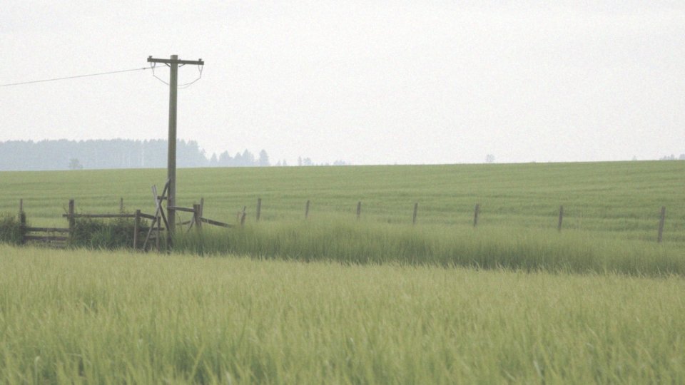 Czy można wystąpić o usunięcie słupów energetycznych z działki?