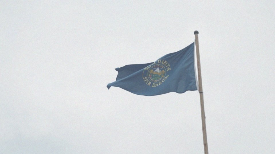 Jakie są cechy flagi stanowej Dakoty Południowej?
