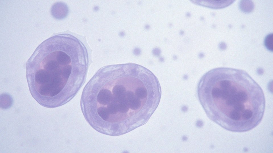 Jak Setal MR wpływa na zapotrzebowanie na tlen w mitochondriach?