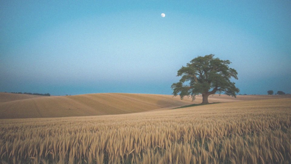 Co to jest apogeum Księżyca?