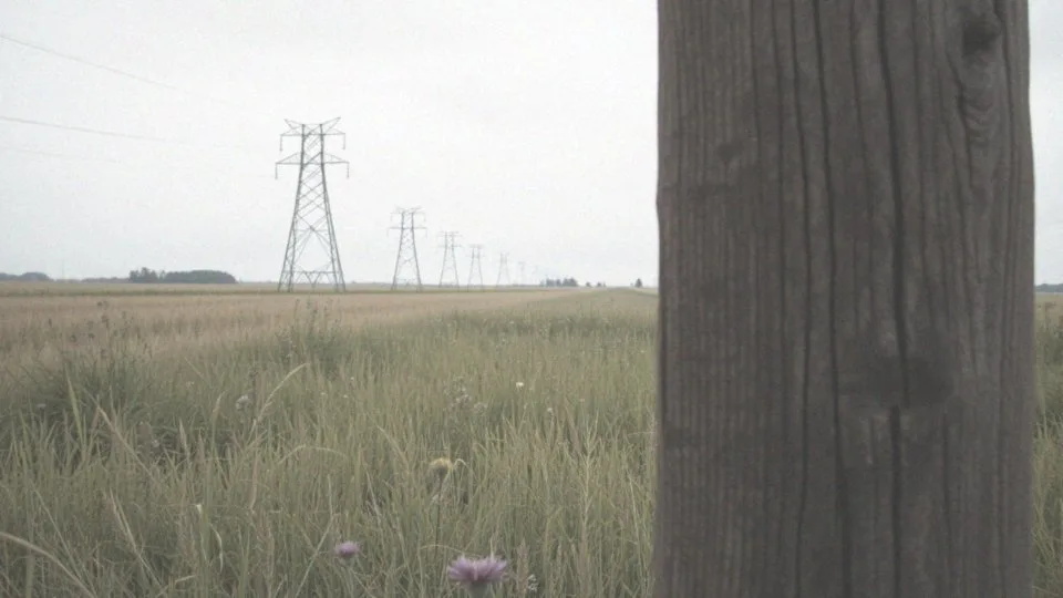 Czy zakład energetyczny może wejść na teren prywatny? Przepisy i prawa