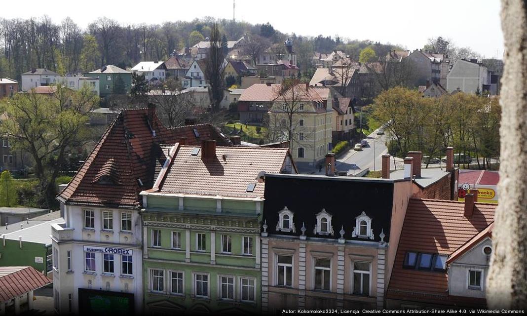 Rozpoczęcie sezonu grzewczego w Lubaniu a kontrole ekologiczne